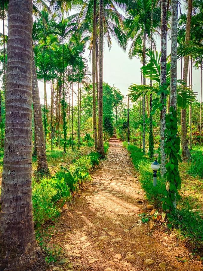 Nature'S Nest Eco Resort Goa, Near Dudhsagar Waterfalls Molem Exteriör bild