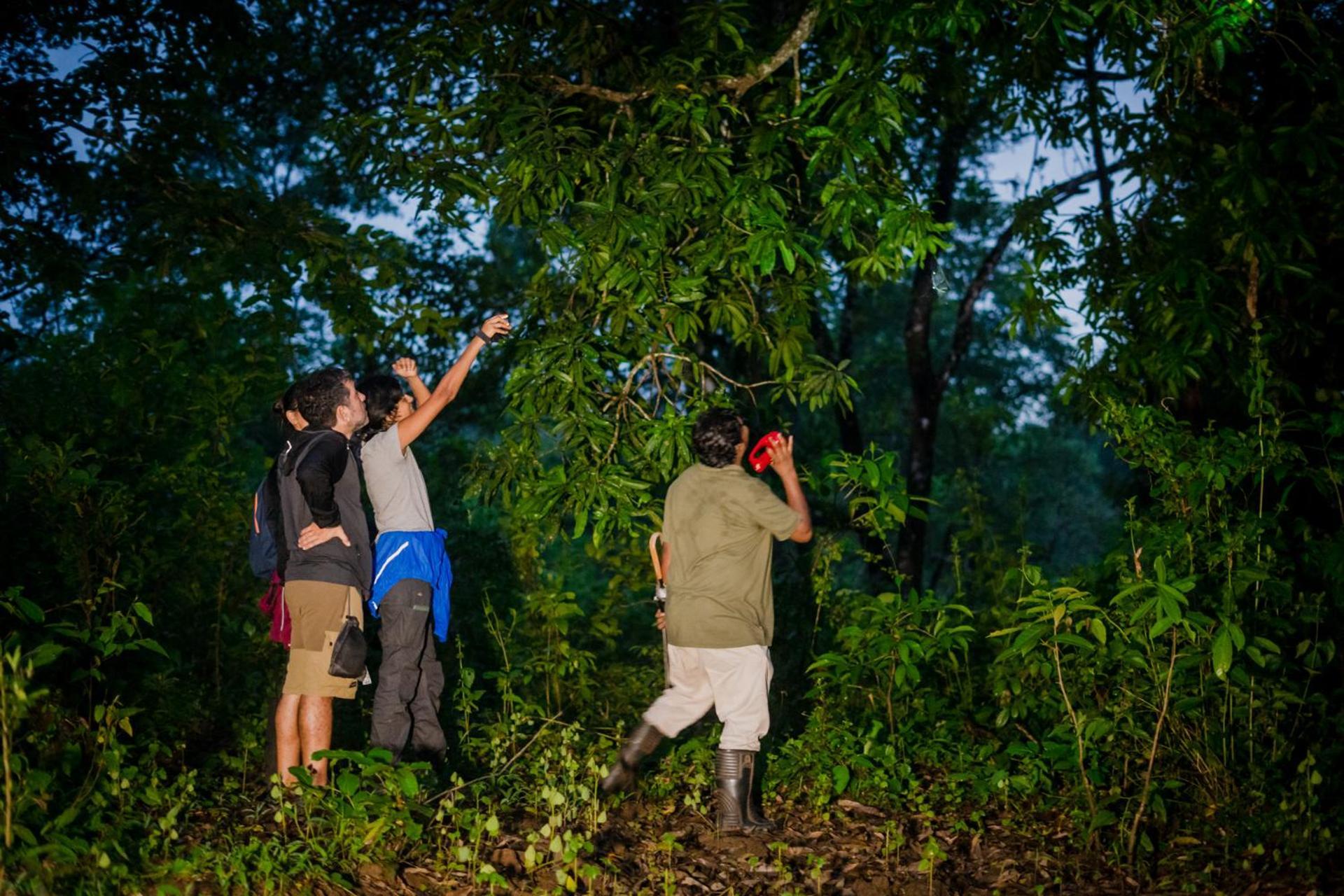 Nature'S Nest Eco Resort Goa, Near Dudhsagar Waterfalls Molem Exteriör bild