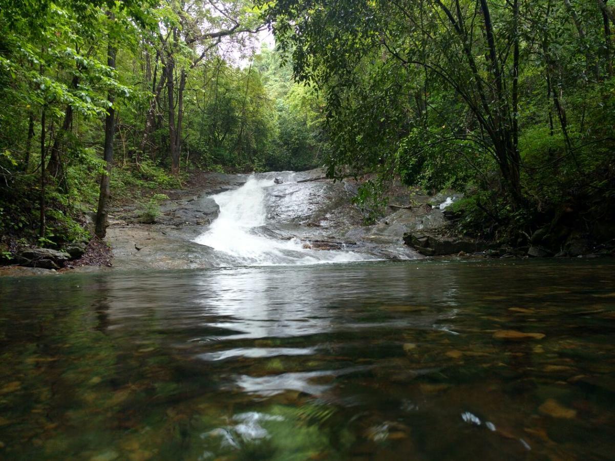 Nature'S Nest Eco Resort Goa, Near Dudhsagar Waterfalls Molem Exteriör bild